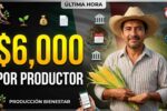 Programa Producción para el Bienestar $6,000 por productor, inscripción y calendario de depósitos en abril
