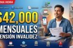 Pensión no contributiva por invalidez $42,000 mensuales, quiénes acceden y cuándo se acredita