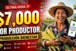 Programa Producción para el Bienestar $7,000 por productor, registro sencillo y calendario abril 2026